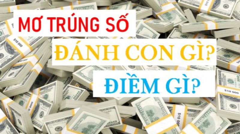 Nằm Mơ Thấy Trúng Số Hiểu Về Giấc Mơ Mang Lại May Mắn