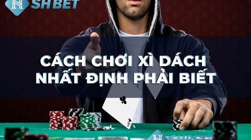 Kinh nghiệm chơi Xì tố Shbet dễ thắng từ những tay chơi kỳ cựu