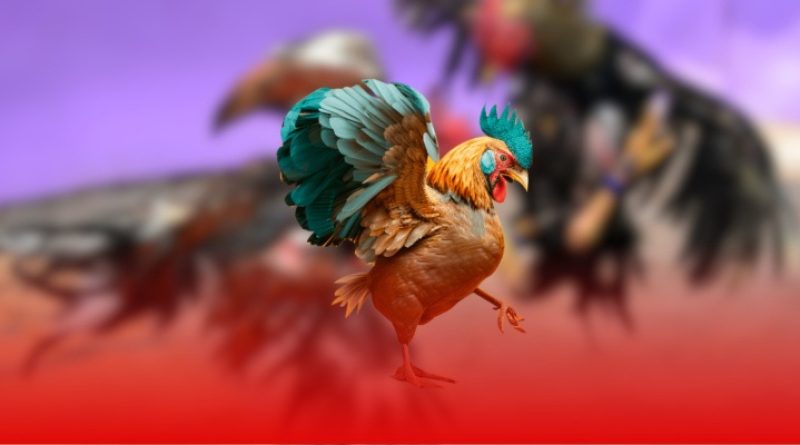 Đá gà Go88 – Các thể loại đá gà phổ biến tại Go88